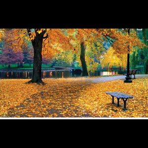 Meet your Posher, Alysha